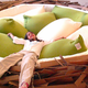 Illustration for article titled Giant Nest Bed Fulfills All My Big Bird Fantasies